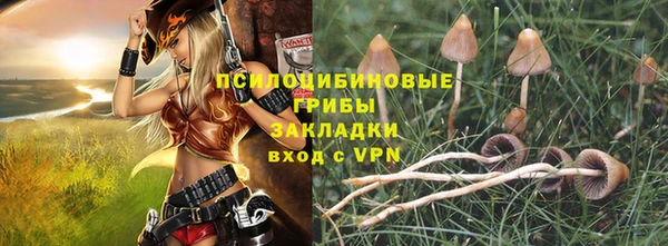 гашик Аркадак
