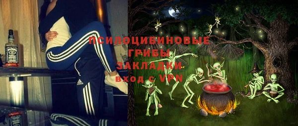 гашик Аркадак