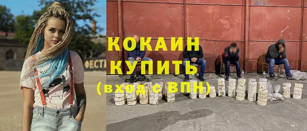 гашик Аркадак